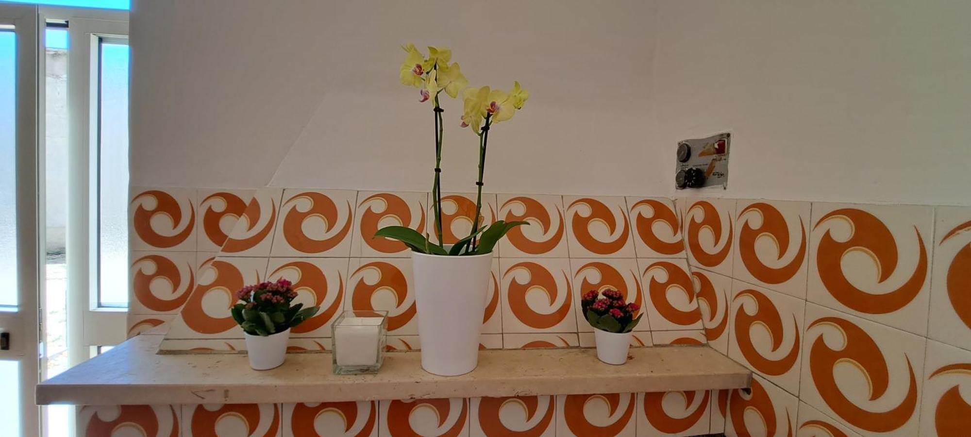 Tollo B & B Le Tre Rose المظهر الخارجي الصورة